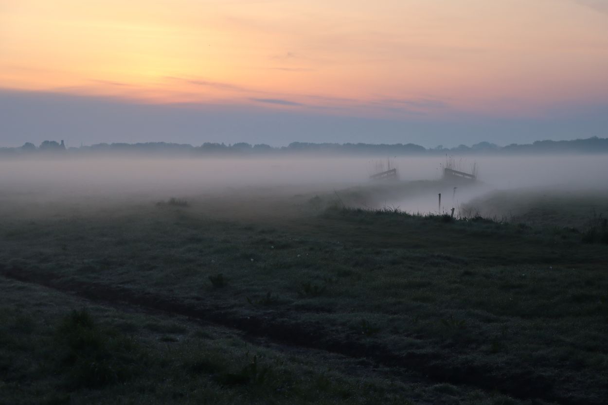 Mindfulness trainingen Lelystad. Mindfulness als aandachtstraining bij stress