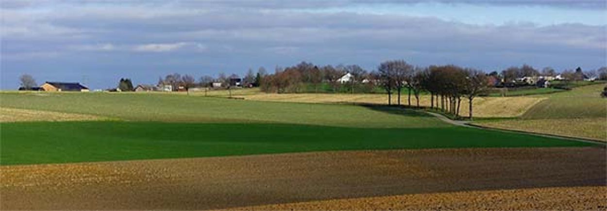 Mindfulness training Almelo. Mindfulness als aandachtstraining bij stress