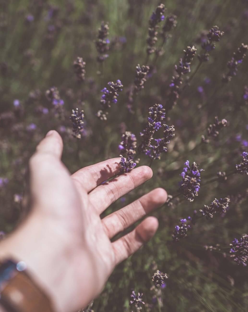 Mindfulness inspiratie mindfulness oefeningen teksten