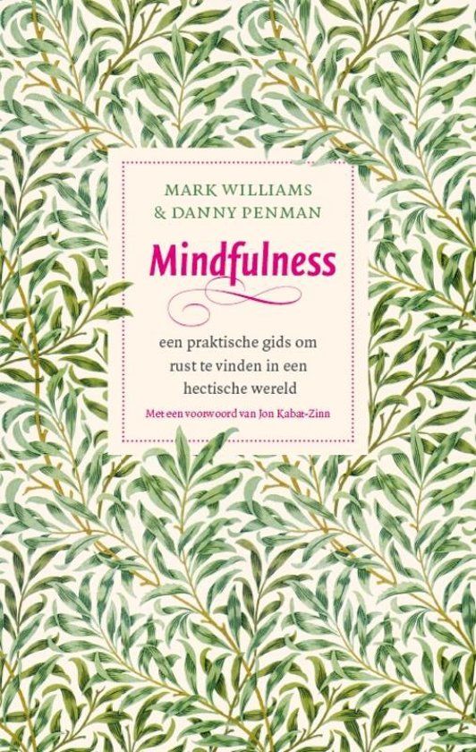 Mark Williams Mindfulness - Een praktische gids