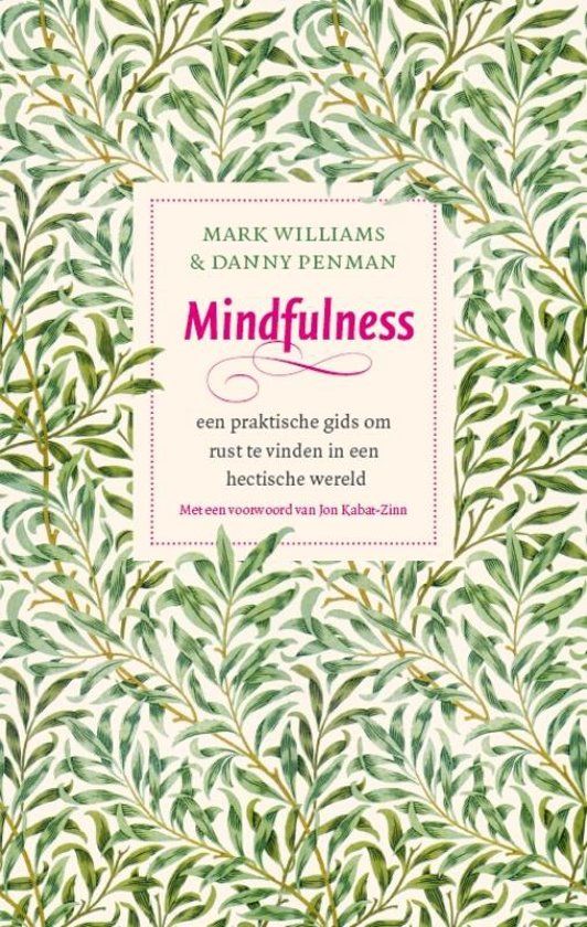 Mark Williams  Mindfulness -  Een praktische gids