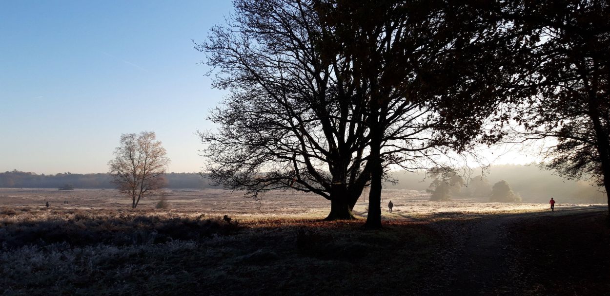   Klara Gerrits  Mindfulness trainingen in Hilversum (Noord-Holland)